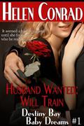 Husband Wanted: Will Train (Destiny Bay: Baby Dreams #1) by Raye Morgan