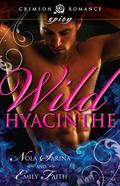 Wild Hyacinthe by Emily Faith