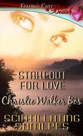 Stakeout for Love by Christie Walker Bos