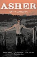 Asher (Boys South of the Mason Dixon #1) by Effy Vaughn