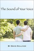 The Sound of Your Voice by David Sullivan