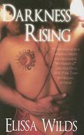 Darkness Rising by Elissa Wilds