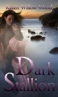 Dark Stallion (Centaur Chronicles #2) by Raven Willow-Wood