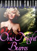 One Night Burns (Vampires of Livix Trilogy #1) by J. Gordon Smith