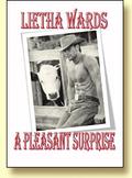 A Pleasant Surprise by Lietha Wards