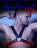 Apartment 1209 (Don't Read in the Closet Events) by Elizabeth Lister