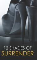 12 Shades of Surrender (12 Shades of Surrender) by Alegra Verde