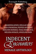 Indecent Encounters by Angelina Rain