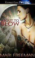 About to Blow (Valkyrie's Vow #1) by Mari Freeman