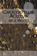 Crocodylus Acutus (Love is Always Write) by J. Rocci