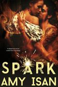 Spark (Ruin Outlaws MC #2) by Amy Isan