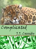 Complicated (Don't Read in the Closet Events) by J.J. Cassidy