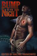 Bump in the Night (Bump in the Night) by Brien Michaels