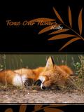 Foxes Over Flowers (Love's Landscapes) by J. Colby