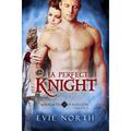 A Perfect Knight (Knights of Passion Series 2 #1) by Evie North