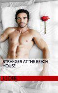 Stranger At The Beach House by L.J. Dee