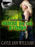 Riders On the Storm (Tsunami Blue #2) by Gayle Ann Williams