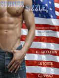 Summer Sizzle: Stories of Love, Lust, and Passion by L.R. Potter