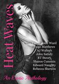 Heat Waves: An Erotic Anthology by John Satisfy