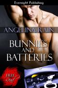Bunnies and Batteries by Angelina Rain
