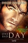 One Bad Day: A Theo Bourne Story (Theo Bourne #2.5) by Evelyn Shepherd