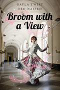 Broom with a View by Ted Naifeh