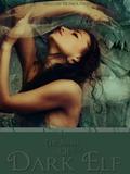 In the Arms of the Dark Elf (In the Arms of the Dark Elf #1) by Willow Nonea Rae