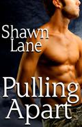 Pulling Apart by Shawn Lane