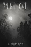 Knight Owl by C. Dallas Floyd