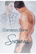 Snowfall (Foster Siblings #2.5) by Cameron Dane