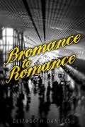 Bromance to Romance (Love's Landscapes) by Elizabeth Daniels