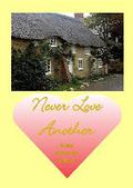Never Love Another by Suzy Stewart Dubot