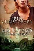 Big Cypress Crossroads by Bren Christopher