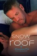 Snow on the Roof by Layla M. Wier