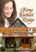 Home to Walnut Ridge (The Teacup Novellas #3) by Diane Moody