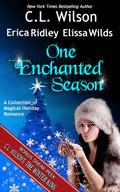 One Enchanted Season by C.L. Wilson
