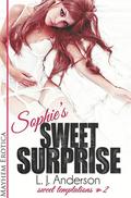 Sophie's Sweet Surprise (Sweet Temptations #2) by Evelyn Baldwin