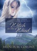 Witch in the Wind (Bandit Creek #17) by BC Deeks