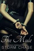 The Mule: An Erotic Romance in Colombia by Storm Chase