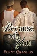 Because of You (Love's Landscapes) by Penny Brandon