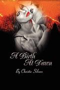 A Birth at Dawn (Alex & Fiona Series #2) by Christie Silvers