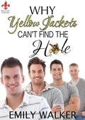 Why Yellow Jackets Can't Find The Hole by Emily Walker