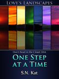 One Step at a Time (Love's Landscapes) by S.N. Kat