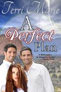 A Perfect Plan (A Billionaire in Disguise #2) by Terri Marie