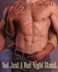 Not Just A One Night Stand (Late Night Delight #7) by Jennifer Willows