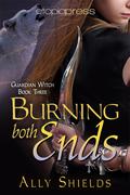 Burning Both Ends (Guardian Witch #3) by Ally Shields