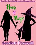 House of Magic (Magic Baby #3) by Scarlett Cantrell