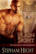 In Plain Sight by Stephani Hecht