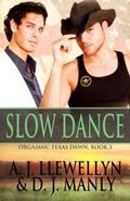 Slow Dance (Orgasmic Texas Dawn #3) by D.J. Manly