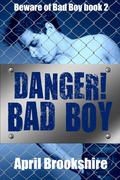 Danger! Bad Boy (Beware of Bad Boy #2) by April Brookshire